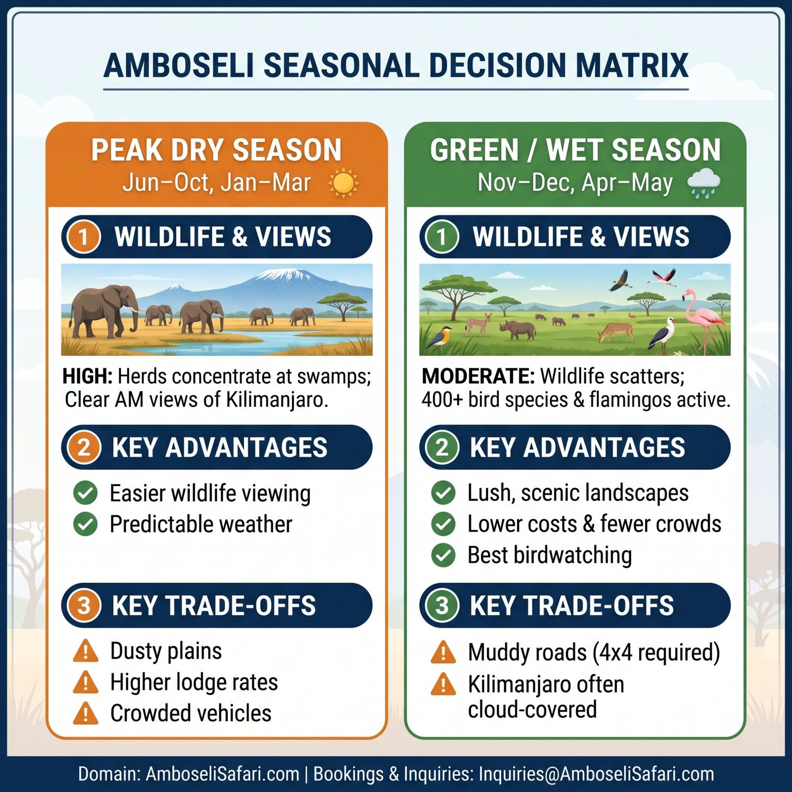 Infographic guiding Amboseli wildlife viewing: optimal times and specific locations for elephants, hyenas, and hippos.